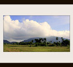 Arunachala